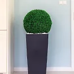 Victus Cozy With Parking By Renters * ソポト