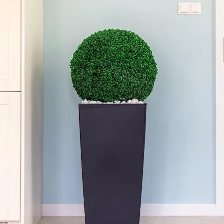 Victus Apartamenty, Skipper 12 * Sopot